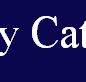 McCarthy Catholic College Tamworth - Perth Private Schools