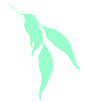 Horticultural Training Pty Ltd - Perth Private Schools