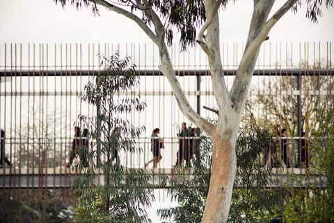 Our Lady Of Mercy College - Perth Private Schools 4
