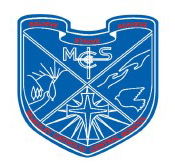 Mcauley Catholic Central School - Perth Private Schools