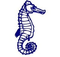 Albert Park Primary School - Perth Private Schools