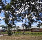 Clayton View Primary School - Perth Private Schools