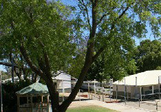 Bindoon Primary School - Perth Private Schools 1