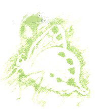 Linuwel School Ltd - Perth Private Schools 0