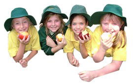 Holy Family Primary School Mt Waverley - Perth Private Schools 1