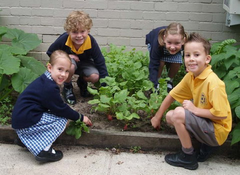 St Raphael's Catholic Primary School - Perth Private Schools 1