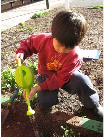 Christ The King Primary School Braybrook - Perth Private Schools 2