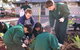 St Albans North Primary School - thumb 2