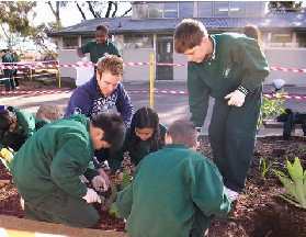 St Albans North Primary School - Perth Private Schools 2