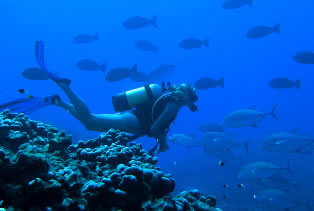 Rowville VIC Perth Private Schools