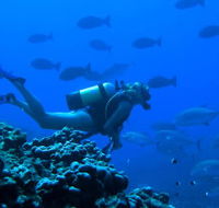 Aquatic Adventures Courses - Perth Private Schools