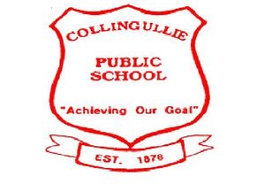 Collingullie Public School - Perth Private Schools 0