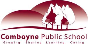 Comboyne Public School - Perth Private Schools 0