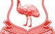 Emu Plains Public School - thumb 0