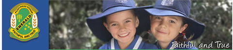 St Patrick's Primary School Emerald - Perth Private Schools 0