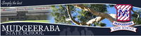 Mudgeeraba State School