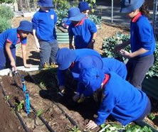 Beckenham Primary School - Perth Private Schools 1