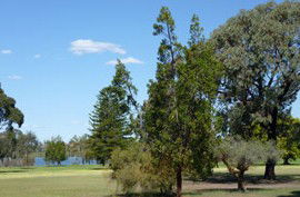 Lake Monger Primary School - Perth Private Schools 0