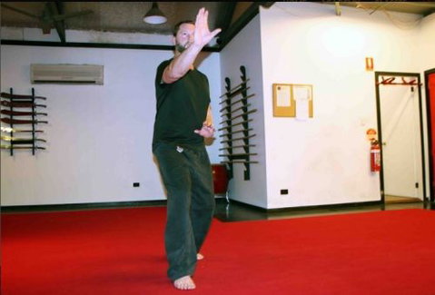 Wu-shu Academy - Perth Private Schools 2