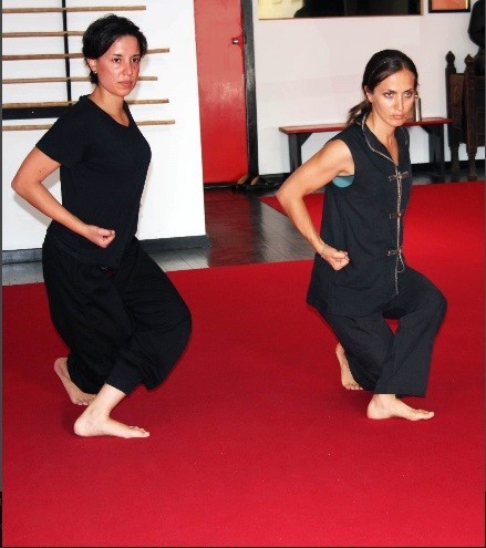 Wu-shu Academy - Perth Private Schools 9