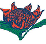Hurstville South Public School - Perth Private Schools