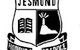 Jesmond Public School - thumb 0