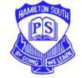 Hamilton South Public School - Perth Private Schools