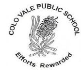 Colo Vale Public School - Perth Private Schools