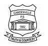 Camdenville Public School - Perth Private Schools