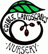 Northey Street City Farm - Perth Private Schools 1