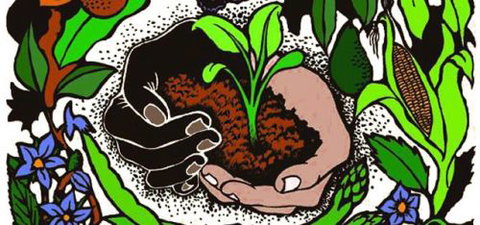 Northey Street City Farm - Perth Private Schools 7