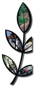 Northey Street City Farm - Perth Private Schools 8