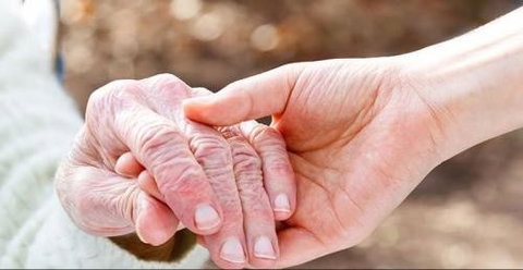 Careers Queensland - Perth Private Schools 1