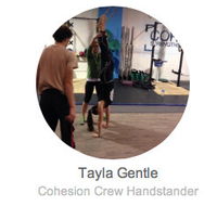 Cohesion Gym - Perth Private Schools