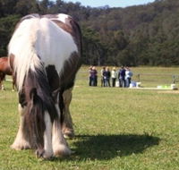 Unbridled Results - Perth Private Schools