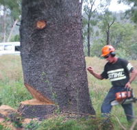 Steve Smith Chainsaw Training - Perth Private Schools