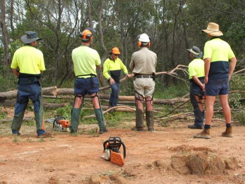 Steve Smith Chainsaw Training - Perth Private Schools 2