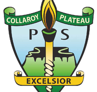Collaroy Plateau Public School - Perth Private Schools