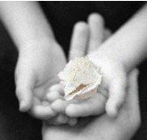 Castlecrag Montessori School - Perth Private Schools