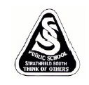 Strathfield South Public School - Perth Private Schools