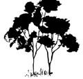 Samuel Gilbert Public School  - Perth Private Schools