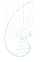 Cape Byron Rudolf Steiner School - Perth Private Schools