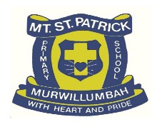Mt St Patrick Primary School  - Perth Private Schools 0