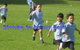 St Vincent's Primary School Ashfield - thumb 5
