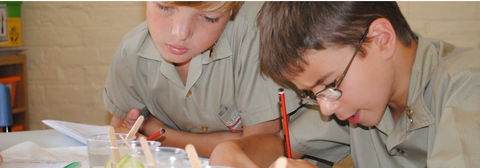 St Peter's Anglican Primary School - Perth Private Schools 2