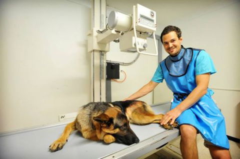 Pacific Vetcare - Perth Private Schools 0