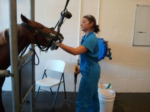 Pacific Vetcare - Perth Private Schools 9