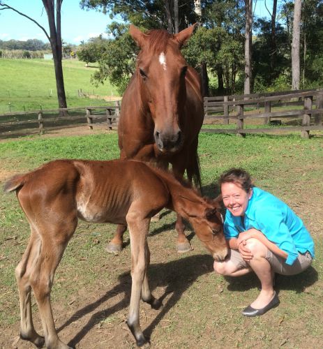 Pacific Vetcare - Perth Private Schools 5