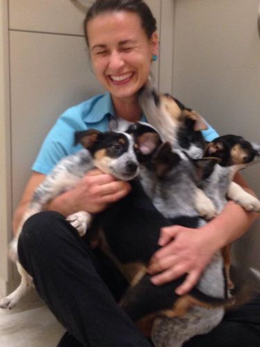 Pacific Vetcare - Perth Private Schools 7