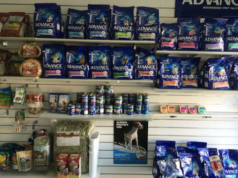 Albion Park Veterinary Hospital - Perth Private Schools 3
